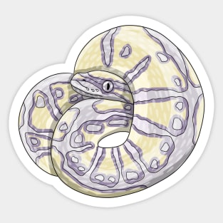 Butter clown enchi pastel Ball python Sticker